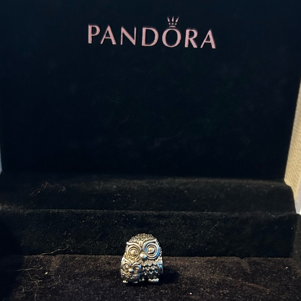 Pandora Mother and Baby Owl Charm